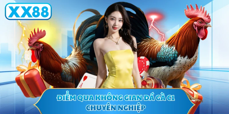 Điểm qua không gian đá gà c1 chuyên nghiệp