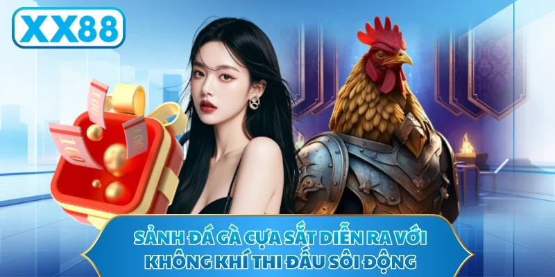 Sảnh đá gà cựa sắt diễn ra với không khí thi đấu sôi động